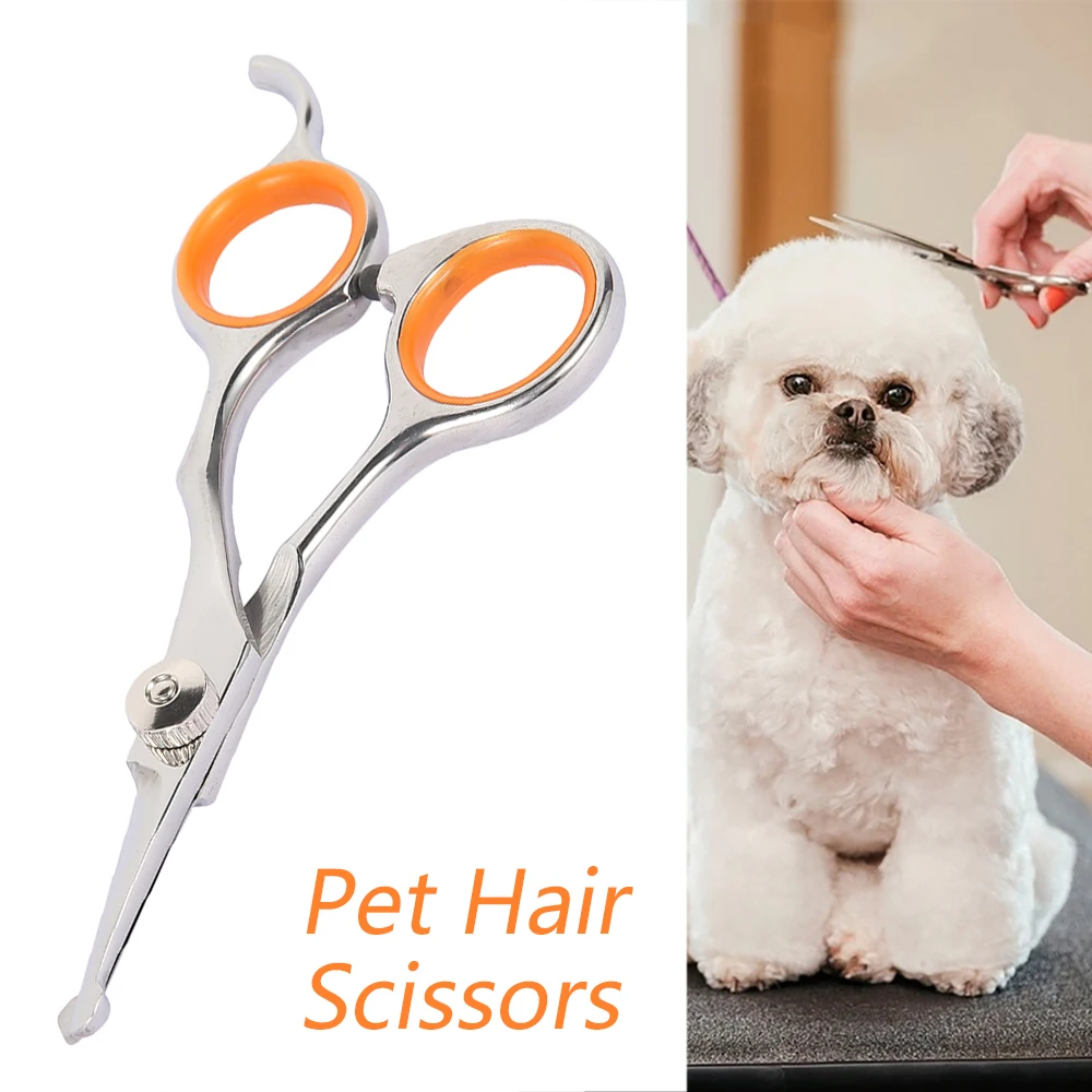 

1Pcs Professional Pet Hair Scissor Stainless Steel Durable Safety Rounded Tips Cat Dog Hair Cutting Tools Pets Grooming Supplies