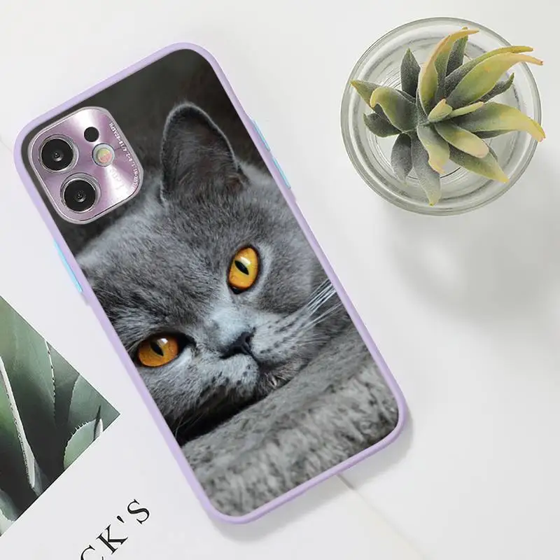 

British Shorthair cat Phone Case Color Matte Transparent for iPhone 7 8 11 12 s mini pro X XS XR MAX Plus funda