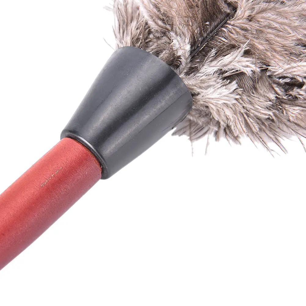 Пушистое перо. Мех и перья. Пера мех. Перо картинка. Страусиные перья для уборки пыли.