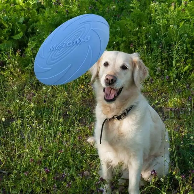 

Promotion Environmental Protection Silica Gel Soft Pet Flying Discs Dog Toys Saucer Big Or Small Supplies Bite Toy