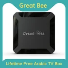 ТВ-приставка на базе Android, лучший Арабский ТВ-приставка, бессрочный Бесплатный спутниковый приемник для арабского IP-телевидения, арабский медиаплеер Greatbee