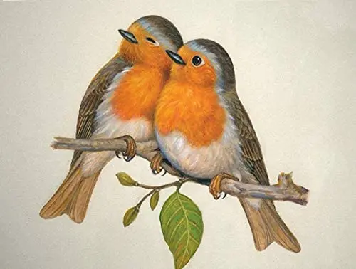 

Bird Species Metal Sign Retro Man Cave Home Wall Decoration 12X16 inch