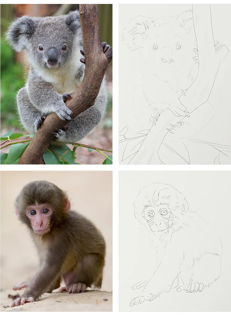 Трафарет A4 240 г цветочный свинцовый трафарет со свинцовыми линиями|Рисовальные