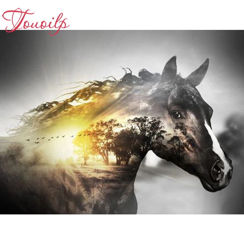 Алмазная 5D Вышивка TOUOILP с квадратными и круглыми стразами для творчества С