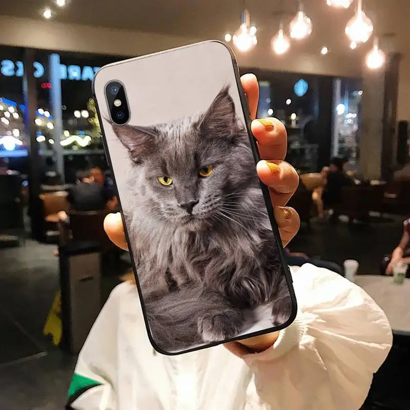 

pet maine coon cat lovely animal Phone Case for iPhone 11 12 pro XS MAX 8 7 6 6S Plus X 5S SE 2020 XR
