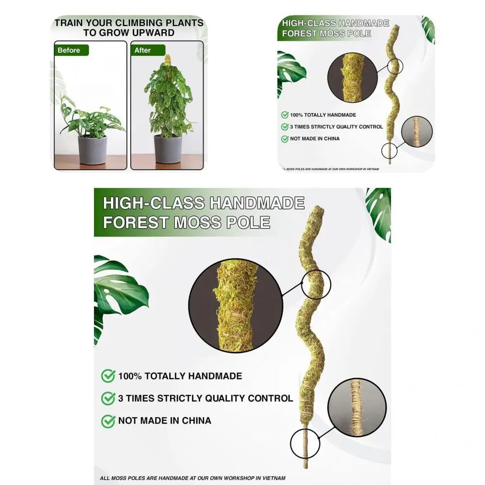 

Multi-use Anti-deform Stable Anti-cracking Plant Moss Stake for Yard