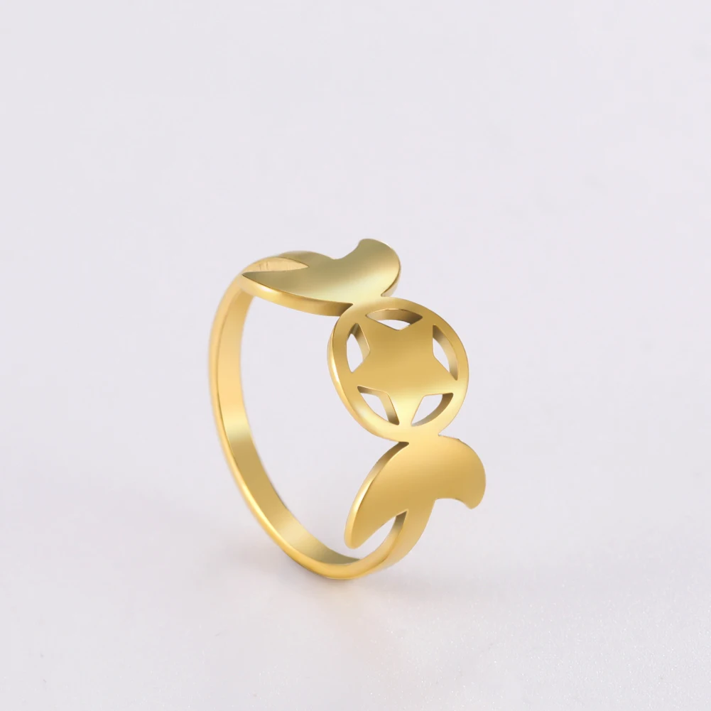 

Lucktune Star of David Men Rings Stainless Steel Sliver Gold Color Wicca Amulet Ring Gift Viking Jewelry for Woman Men 2021