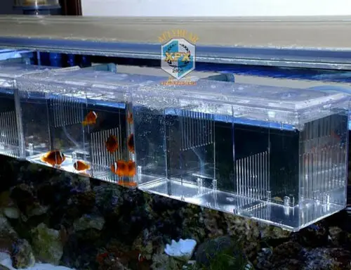 Коробка для рыб аквариума разведения подвесной съемник инкубатор изоляция