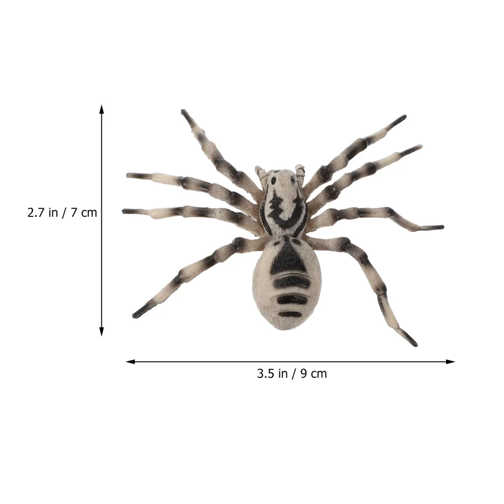 

1 Set Tarantula Life Cycle Model Insect Growth Display Ornament Educational