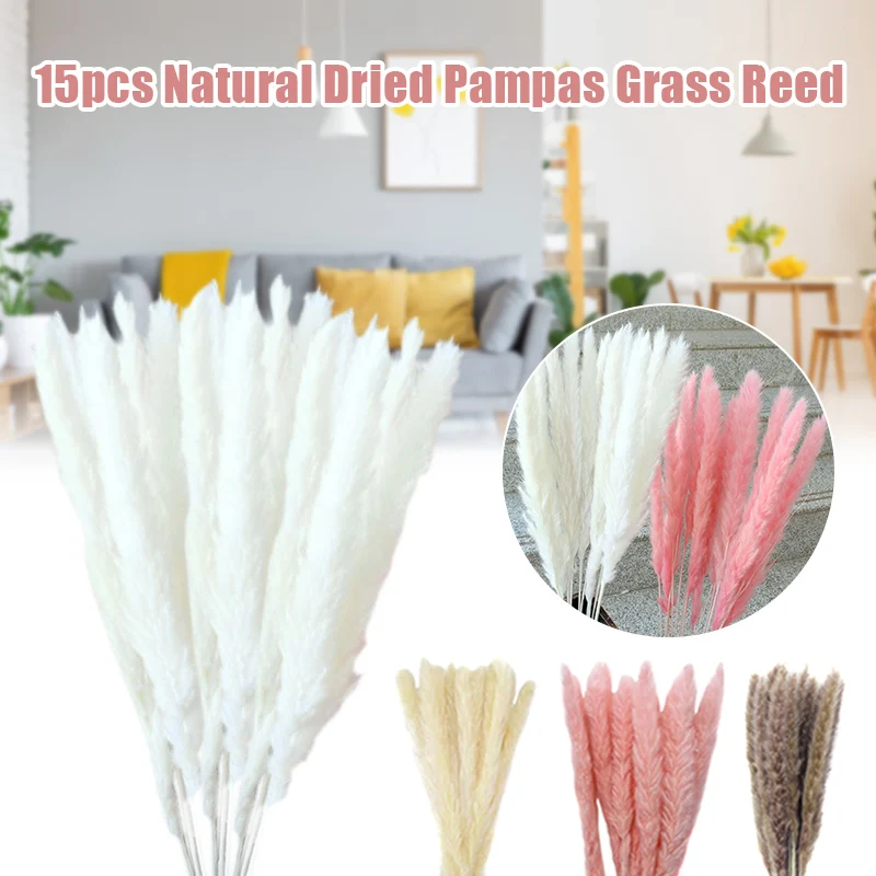 

15pcs party Living room wall Artificial Natural Dried Pampas Grass Reed Flower Bunch Bouquet Home Wedding Floral Decor 60-80cm