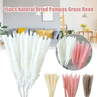 15pcs party living room wall artificial natural dried pampas grass reed flower bunch bouquet home wedding floral decor 60 80cm