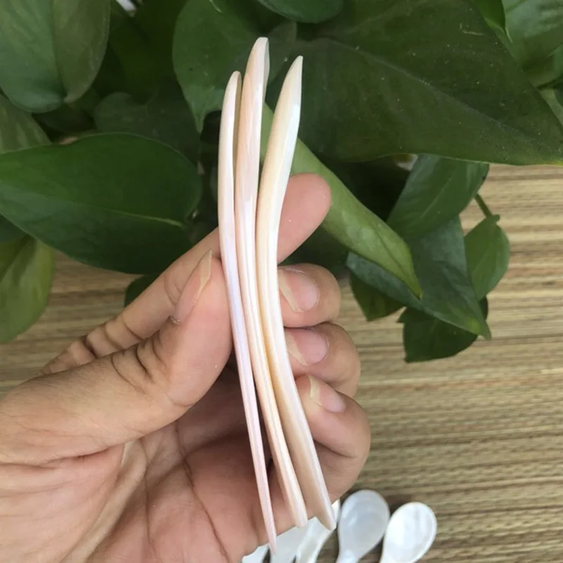 

100% Brand New and High Quality Creative Personalized Portable Roe Pressure Paint, Hotel Simple Kitchen Utensils 9cm Shell Spoon