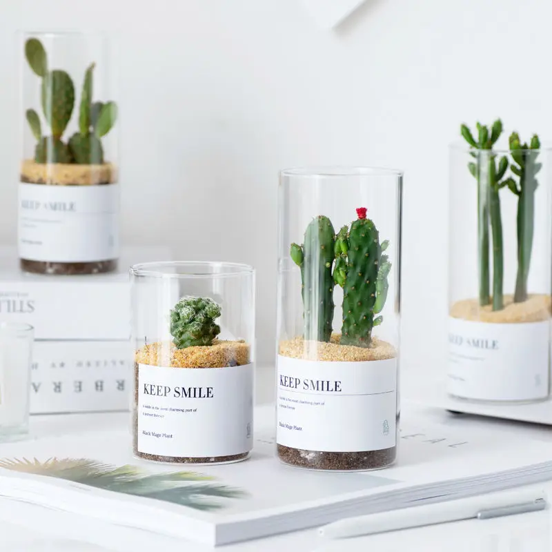 Стеклянная Маленькая ваза Скандинавская банка современный дизайн настольный