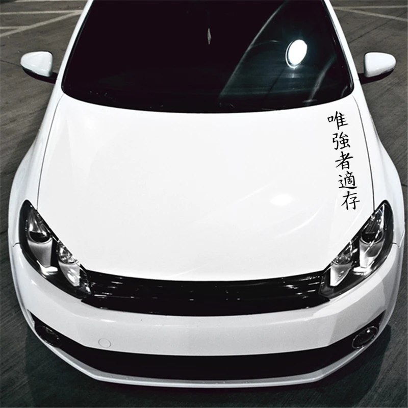 

14cm Hieroglyph Survives The Strongest Funny Car Sticker Vinyl Decal Silver/black for Auto Car Stickers Styling