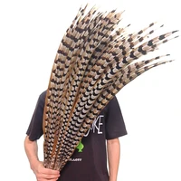 natural lady amherst pheasant feathers for crafts long large feather on the head diy carnival extensions decor performance props