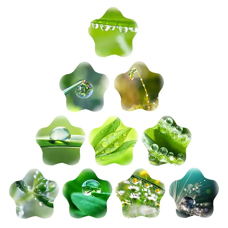 

JWEIJIAO Nature Green Water Drops Falling on the Leaves Patterns Cute and Fun Fashionable Glass Cabochon Flat Back DIY Jewelry