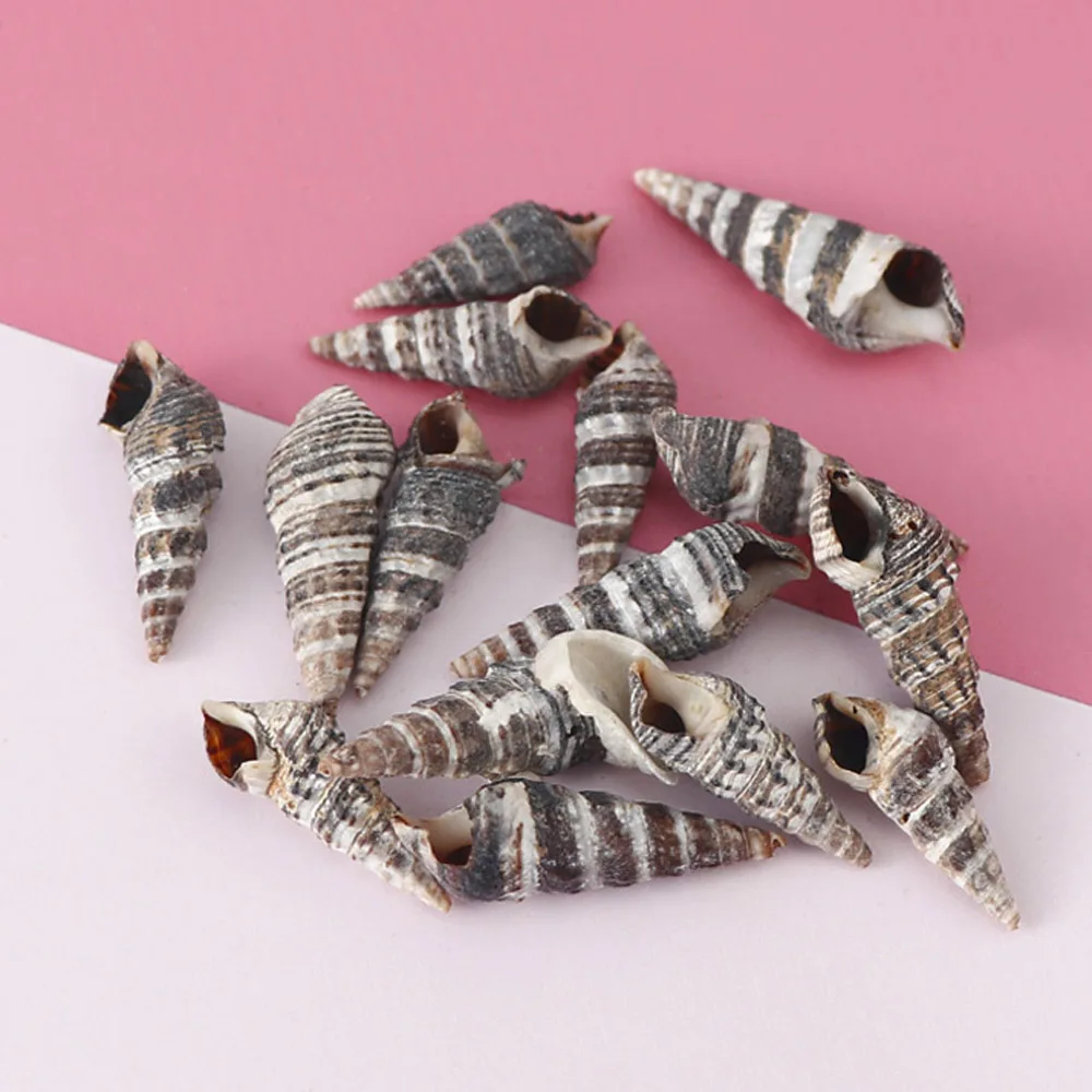 1 Box Pattern 4 Styles Nature Beach Fashion Sea Shells For DIY Caft Decor Jewelery Craft Accessories Holes Shell Decoration