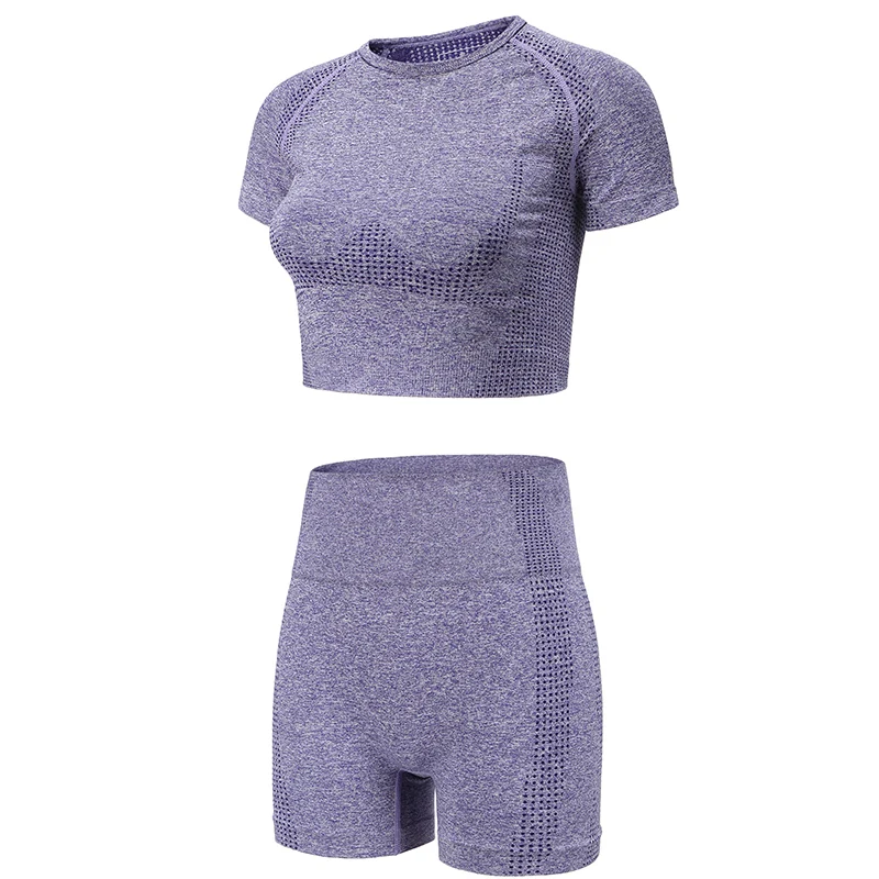 

Women Seamless suit Sport Short with T shirt Summer Yoga set Quick Dry Shorts Short Running Leggings Woman workout suit