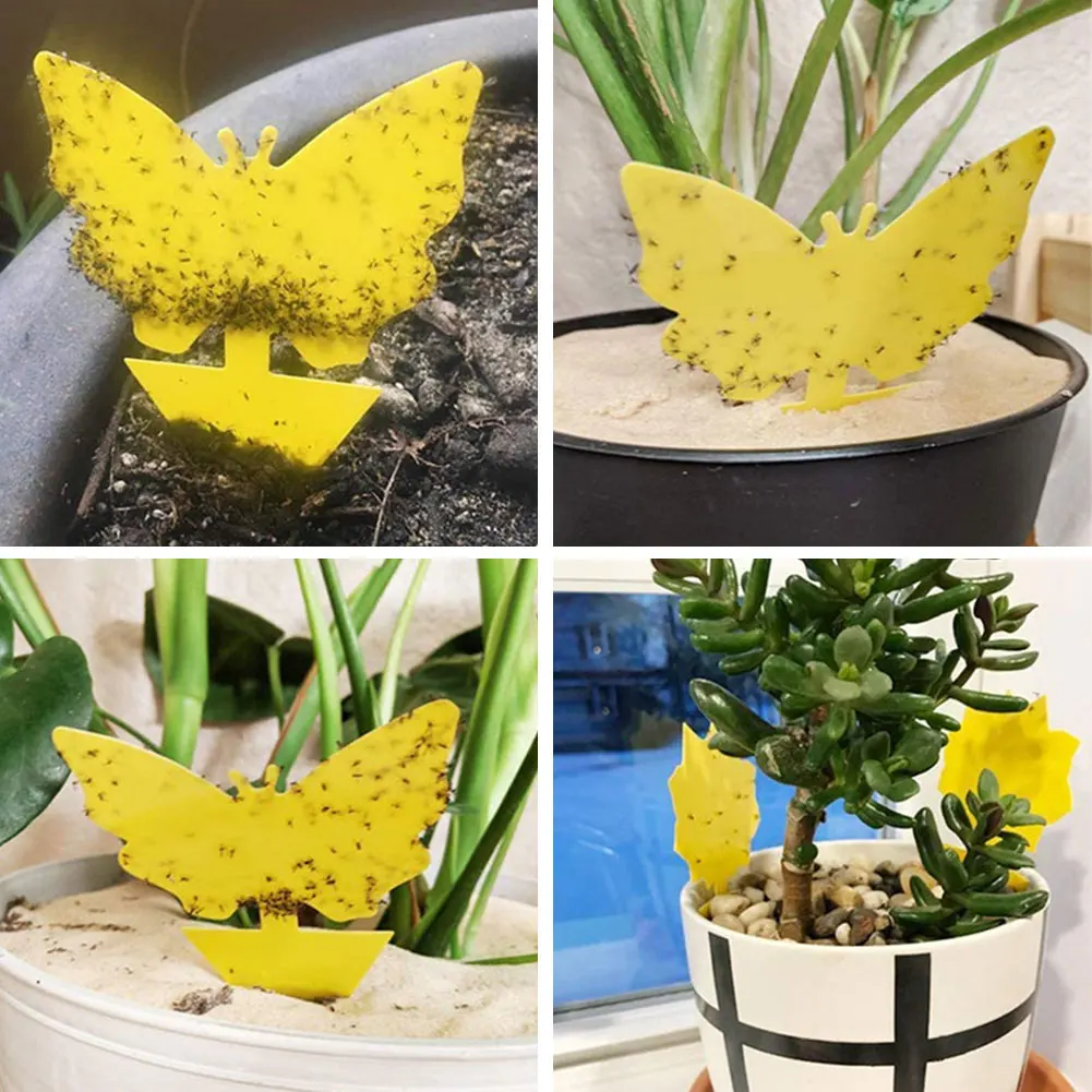 

Yellow Butterfly Shaped Insect Pest Control Garden Strong Glue Plant Sticky Traps For Aphids Dual Sided Fruit Fly Fungus Gnats