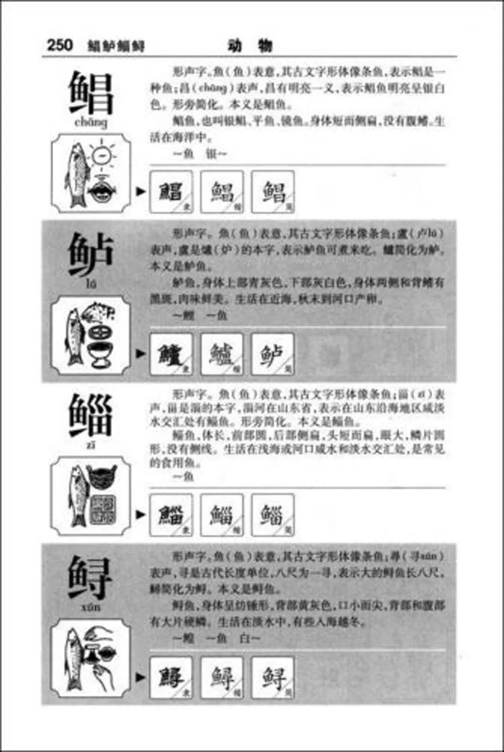 A Graphic Compendium of Chinese Characters Pictograph Learn to  Chinese culture enlarge