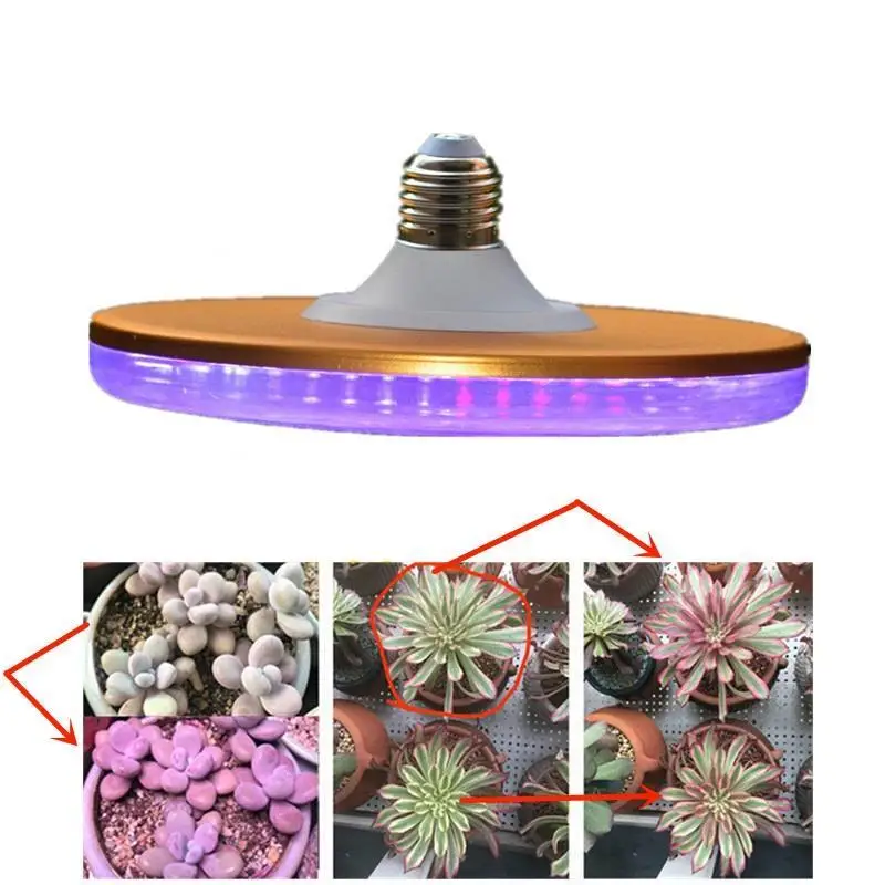 Groeilampen Mastergrow Flower Seedling Apollo Coberta Cultivo Bitki Kweektent Indoor светодиодный светильник для