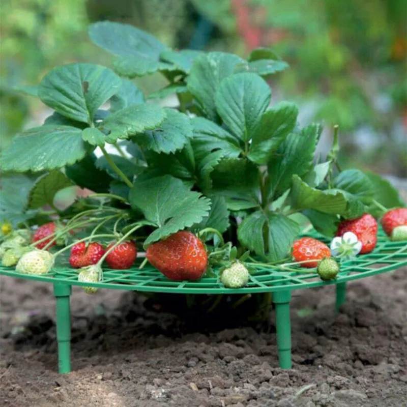 

5/10/20 PCS Strawberry Stand Frame Holder Balcony Planting Rack Fruit Support Plant Flower Climbing Vine Pillar Gardening Stand