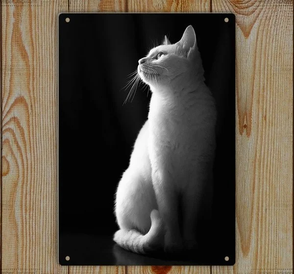 

Metal sign wall sign wall decorative plaque art collection Cute Cat Art Print Tin Sign Decor6