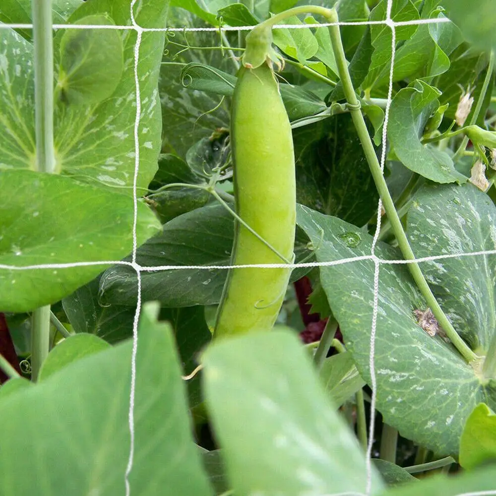 

Mesh 5/10m Polyester Net Loofah Netting For Morning Glory Garden Net Holder Vine Vine Climbing Plants Flowers Grow Cucumber F4M9