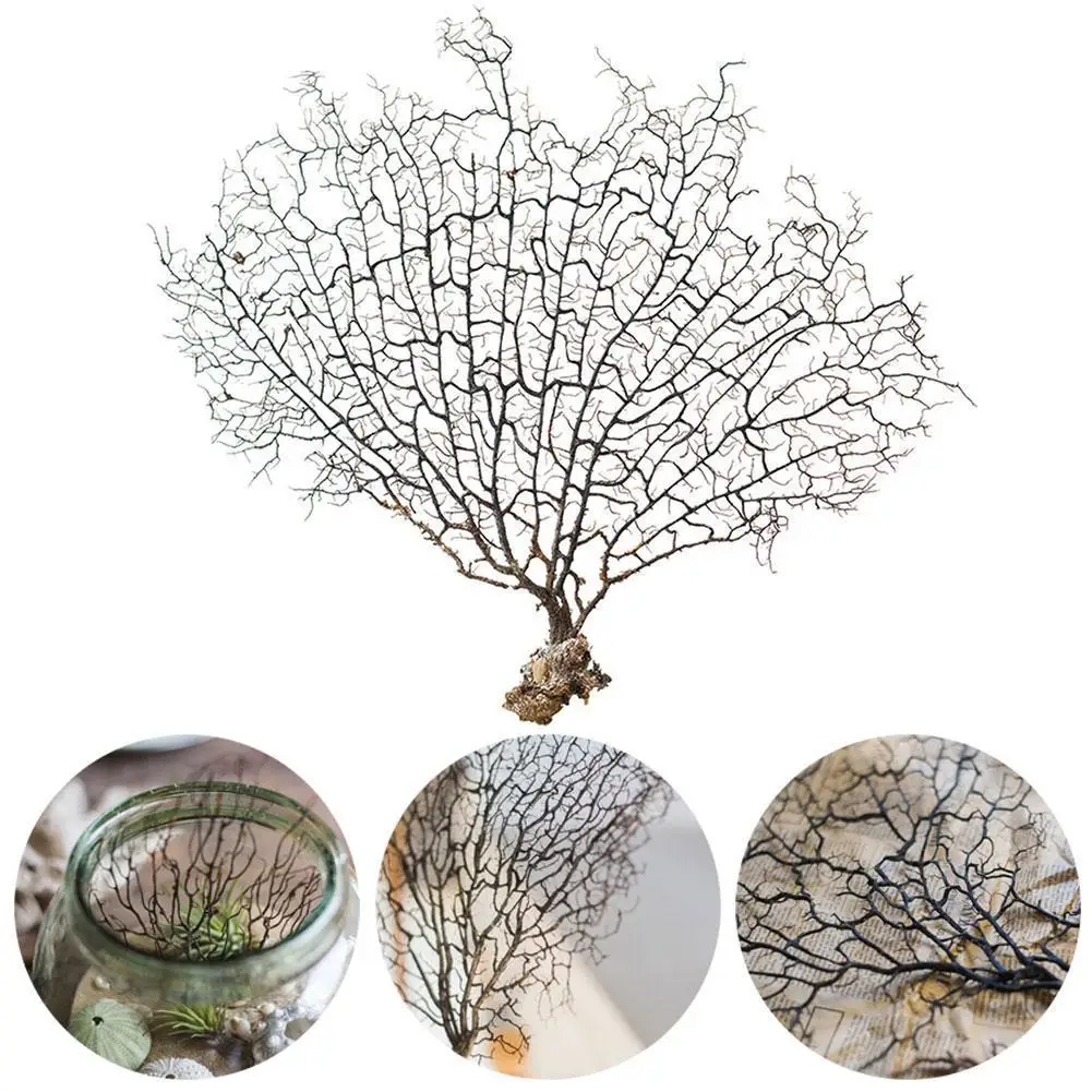 Натуральная красная ива HLBK коричневая железная ветка дерева Коралловая домашний