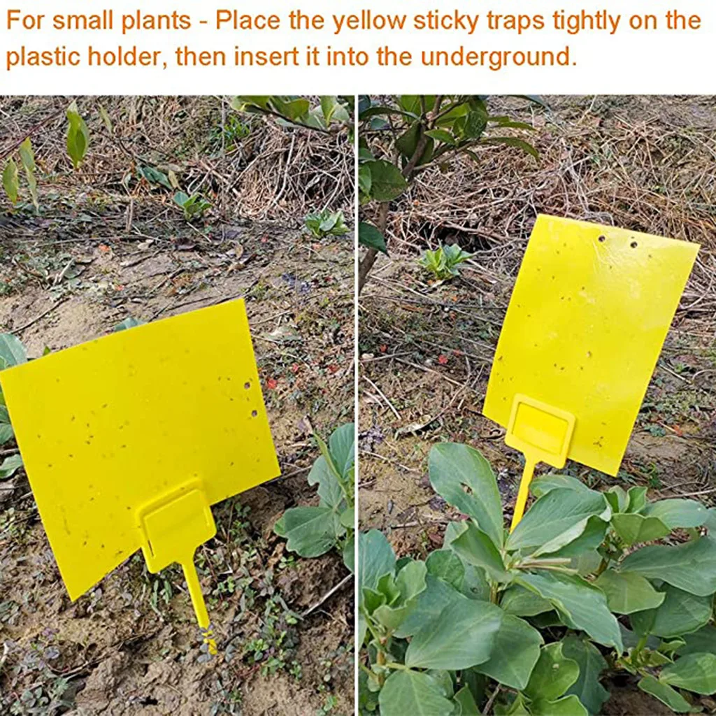 20 шт. двусторонняя клейкая доска для уничтожения насекомых | Дом и сад