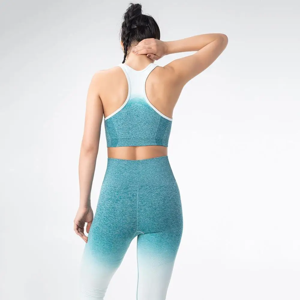 Бесшовный Набор для йоги 2019 Женская одежда фитнеса спортивная женская леггинсы