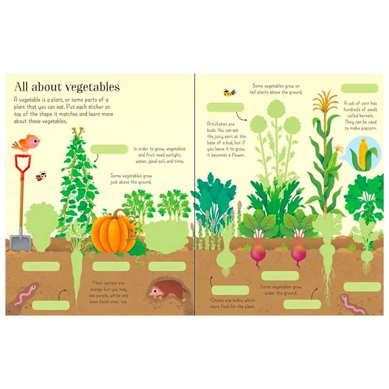 How does it grow. How to grow a plant worksheets. How plants grow for kids. Задания на тему vegetables for kids. Where do cranberries usually grow.