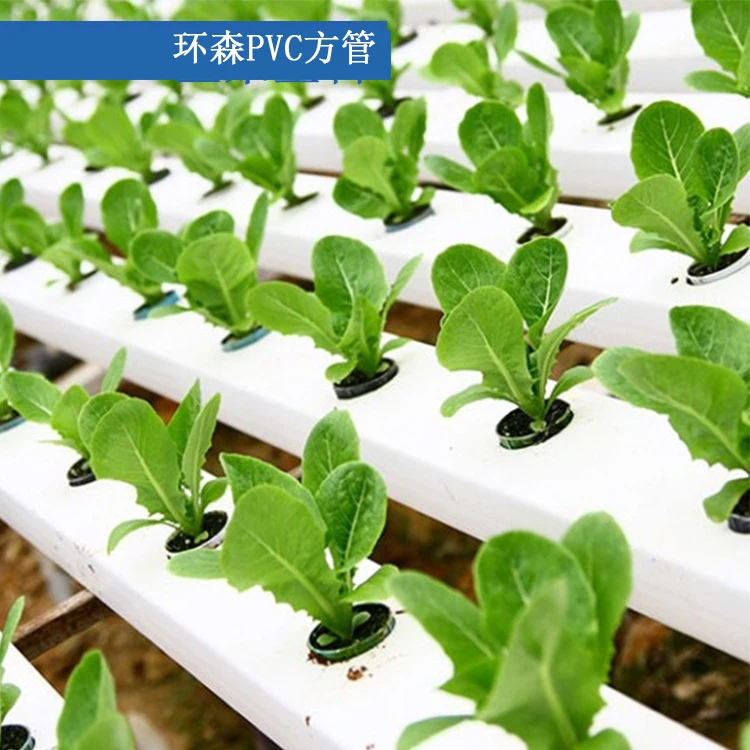 Sistema hidrop&oacute;nico de plantaci&oacute;n de tubos cuadrados de Pvc-1