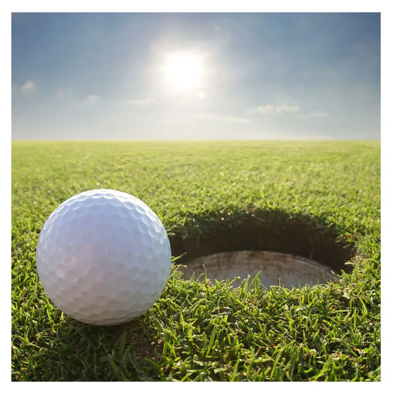 5 шт. 3 слойные мячи для гольфа из синтетического каучука|Мячи гольфа| |