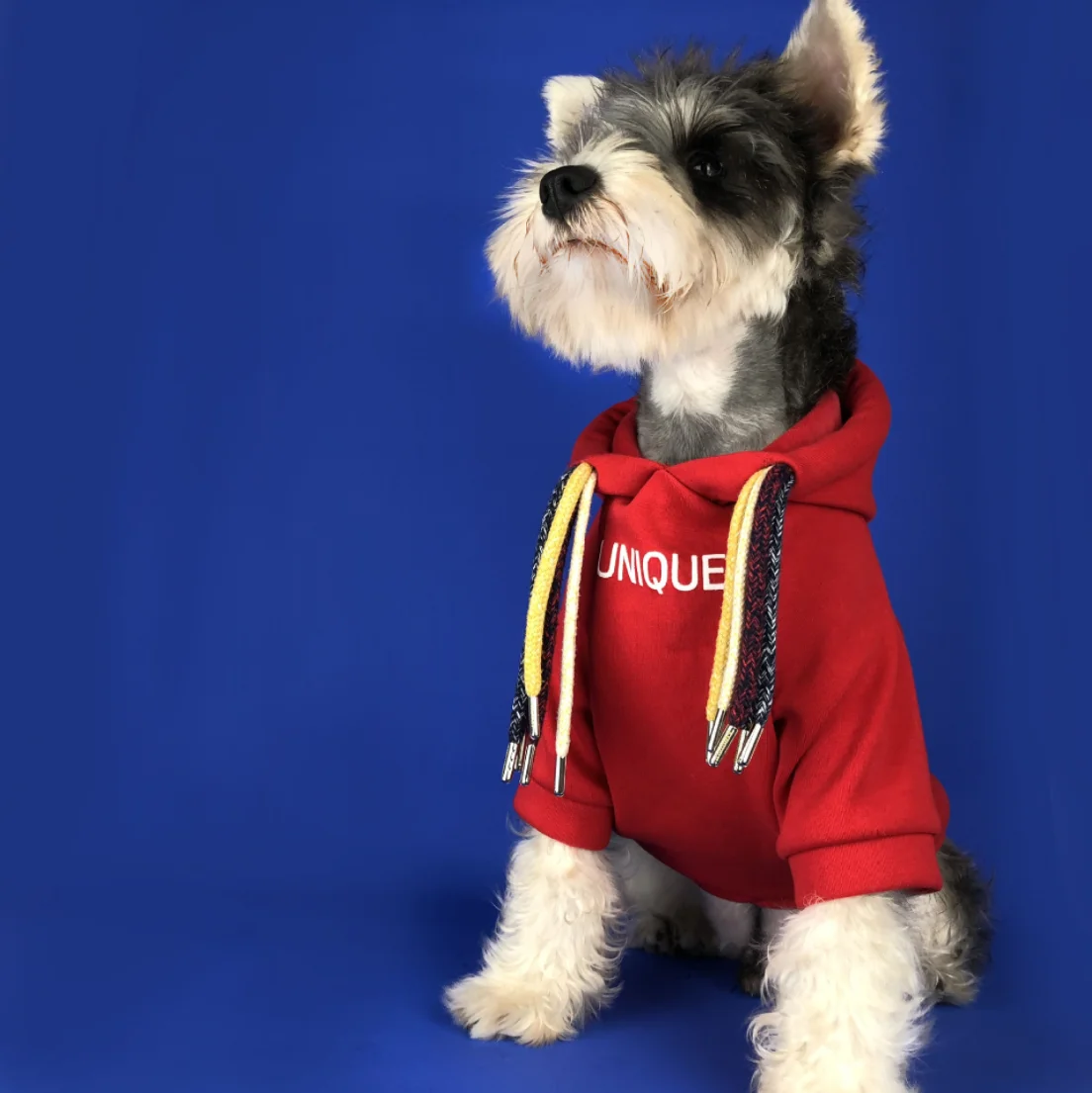 

Autumn and winter pet clothes puppy plus velvet warm clothes