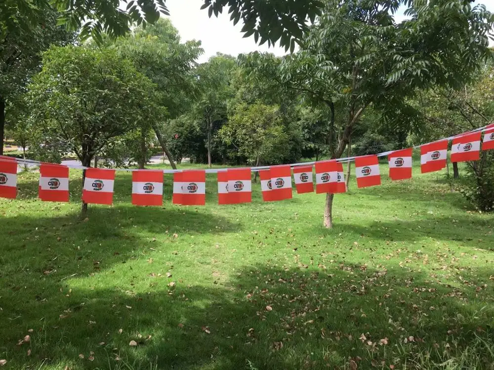 9 м длинные Перу флаг Вымпел стринг баннер Великобритании Бантинг фестиваль