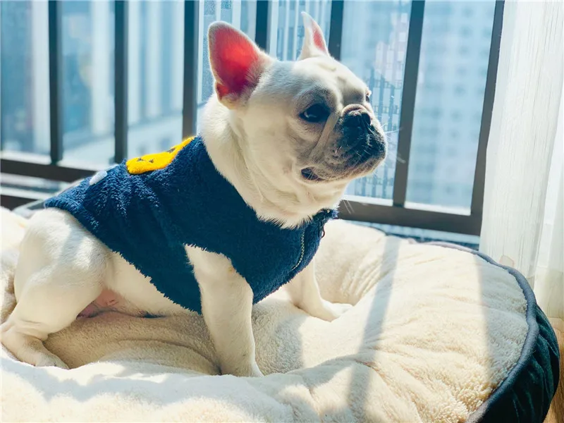 Флисовые Смешные наряды с улыбающимся лицом для собак бульдог кошек Мопсов Тедди