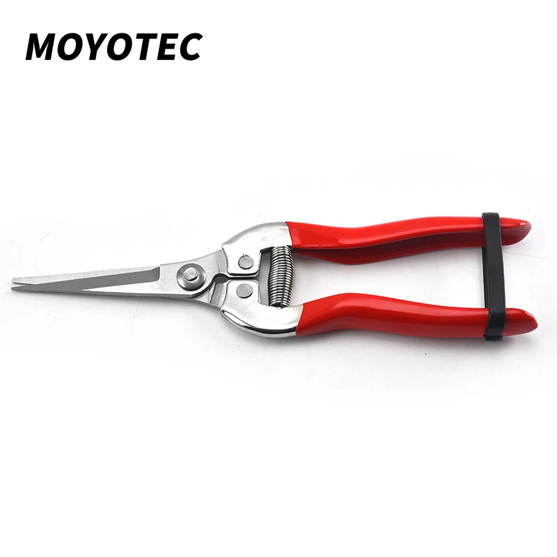 

MOYOTEC Stainless Steel Fruit Scissors Grafting Scissors Garden Scissors Garden Pruning Scissors Comfortable Handle Garden Tools