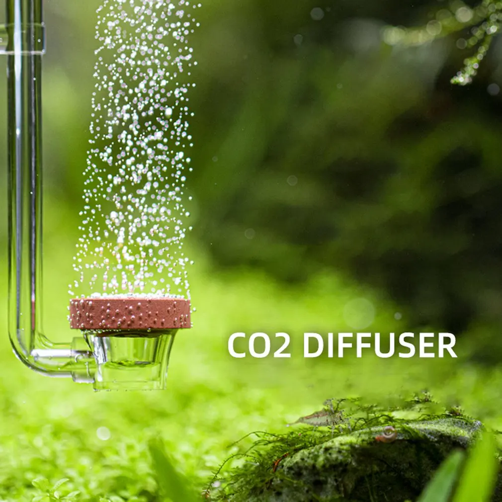 

Acrylic Transparent CO2 Diffuser Suction Cup Fixing Atomizer Water Grass Regulator Bubble Counter Aquarium CO2 Plants