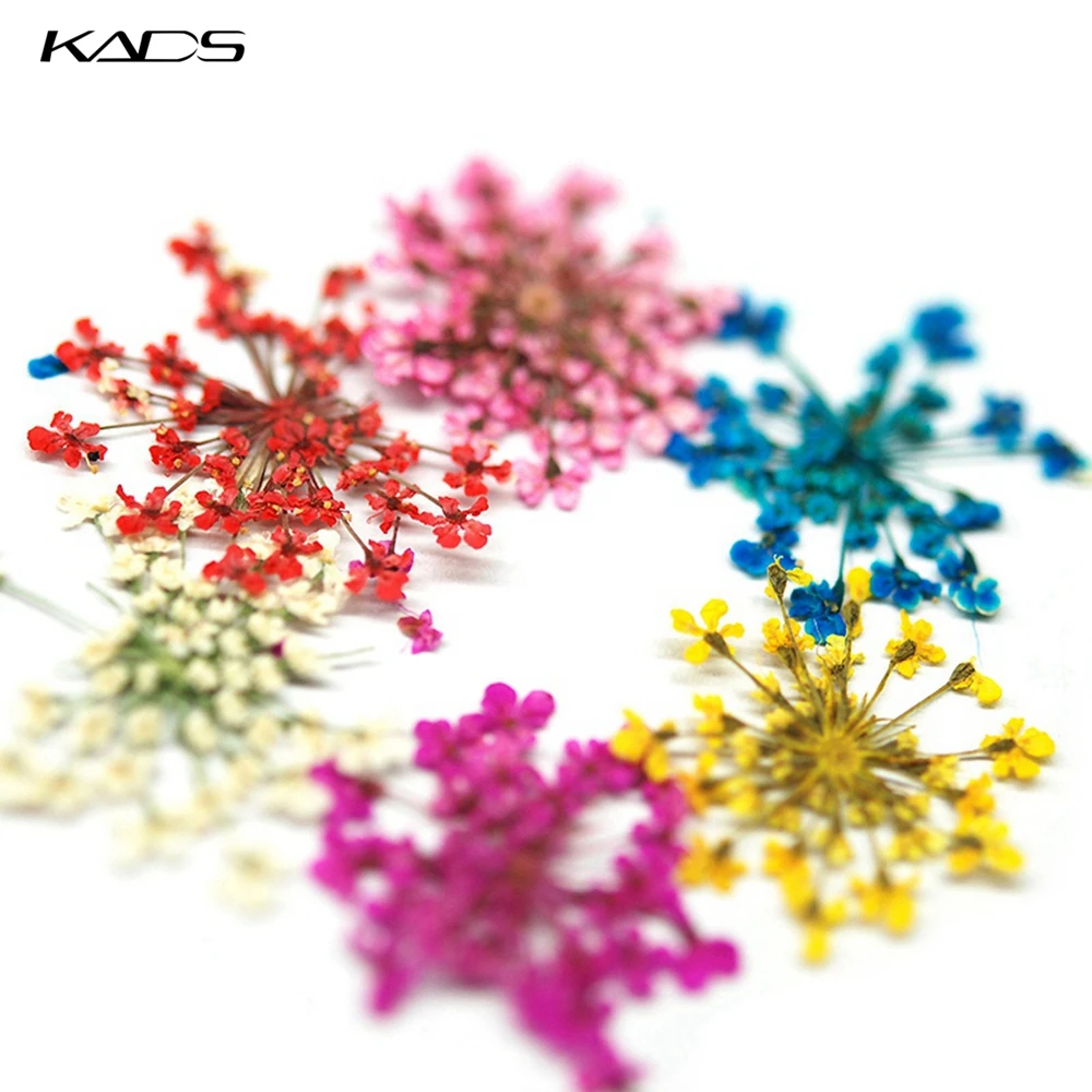 KADS 10pcs Star Cluster Dried Flowers Nail Decorations Natural Floral Leaf Stickers for Nail Art Manicure Tools Nail Accessories