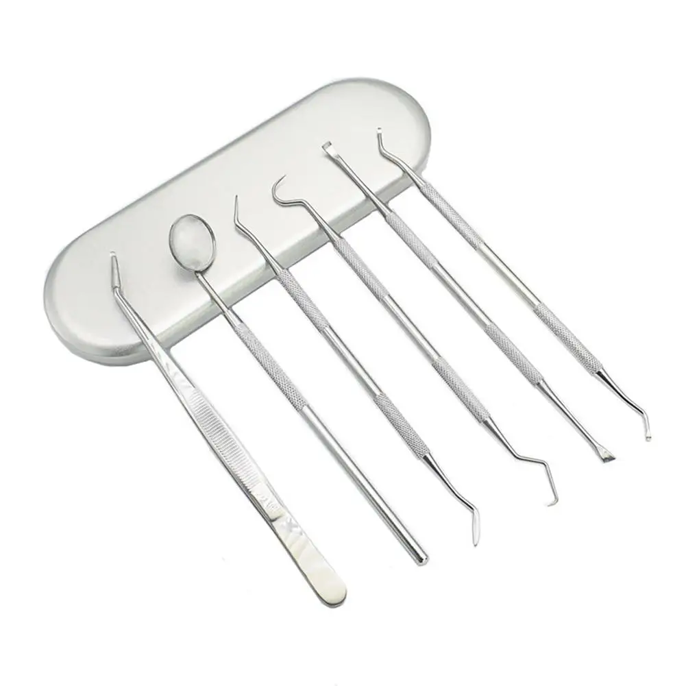 

6Pcs Stainless Steel Dental Tool Set Dentist Tooth Clean Calculus Remover Hygiene Picks Mirror Kit Oral Hygienist Teeth Cleaning