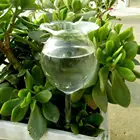 Стеклянный податчик воды для растений автоматический прозрачный стеклянный садовый водонагреватель для самостоятельного полива розы
