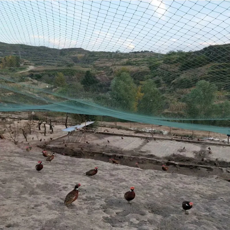 Черные защитные сетки для защиты урожая фруктовые деревья садовые забора