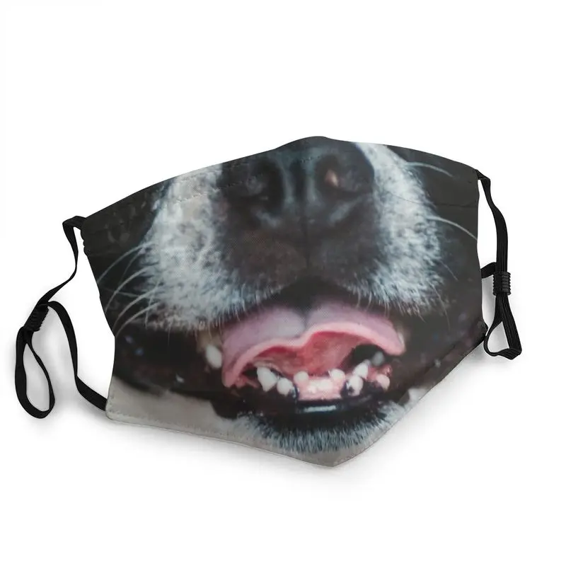 

Boston Terrier Dog Washable Mouth Face Mask Men Cute Puppy Mask Dustproof Protection Cover Respirator Muffle