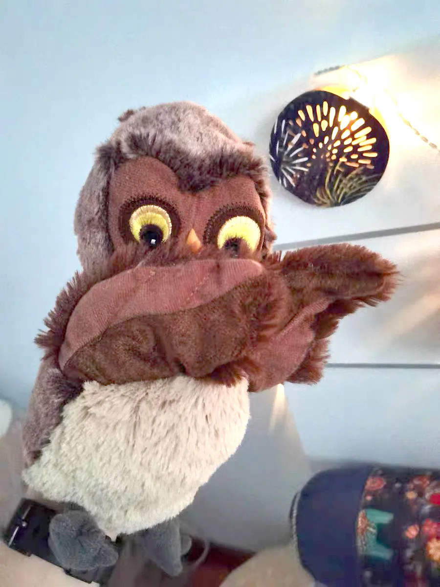 25 см kawaii мультфильм Животные Сова птица плюшевая рука кукла ребенок спящий день