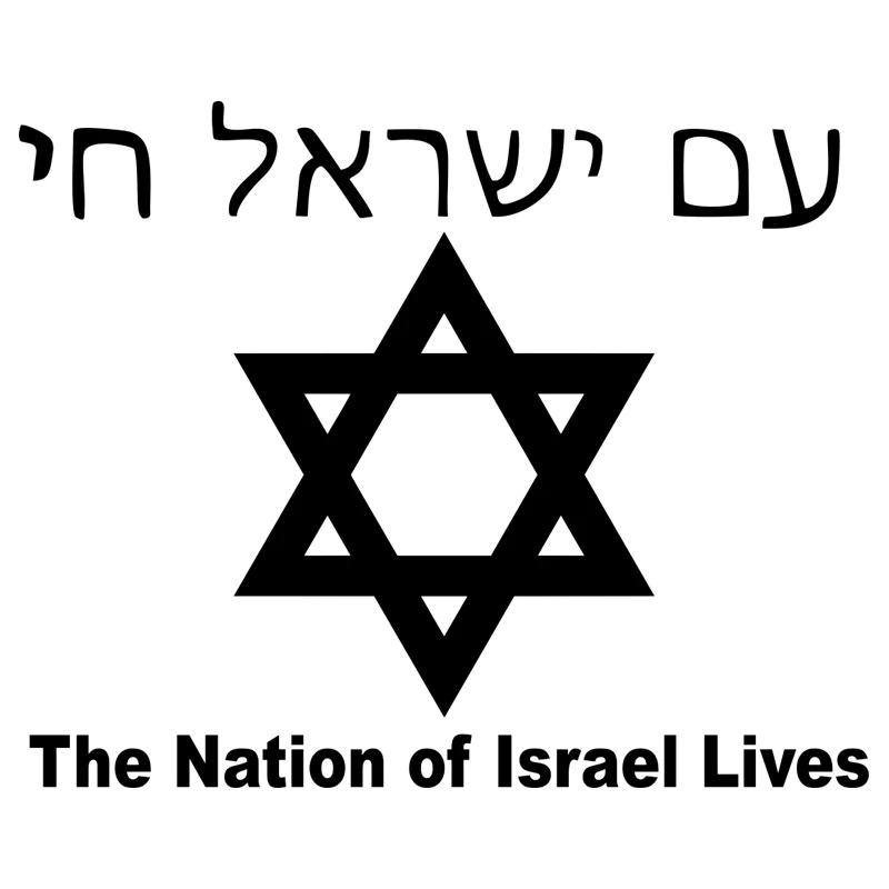 30727# наклейки на авто Звезда Давида версия 2. The Nation of Israel Lives водонепроницаемые
