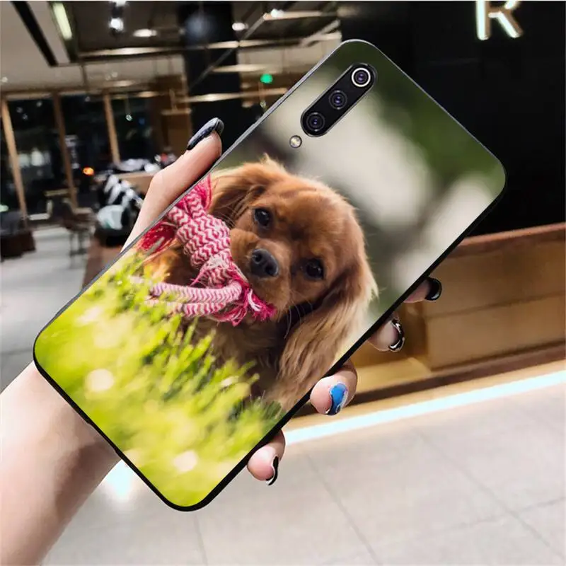 Чехол кавалер Кинг чарльз спаниель черный мягкий чехол для телефона Huawei Honor 30 20 10 9