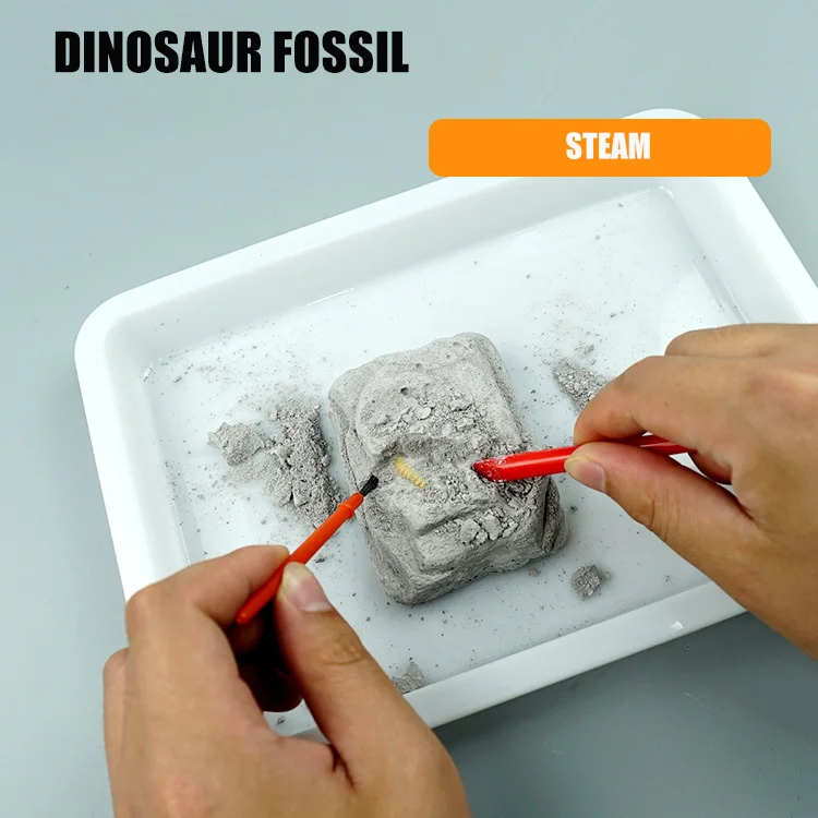 

DIY STEAM Dinosaur Fossil Digging Skeleton Digging Archeology Children Science Experiment Dinosaur Fossil Model Toy for Child