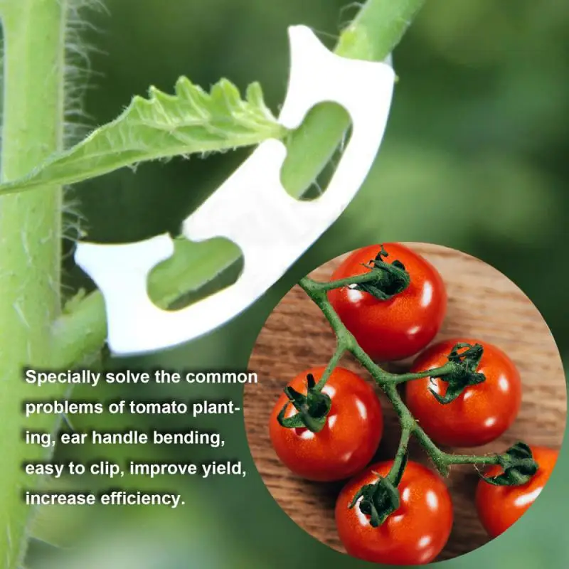 

50pcs Tomato Fixing Clips Vegetables Garden Fruit Flower Supports Plant Seedling Clips To Prevent Bending Support Clamps