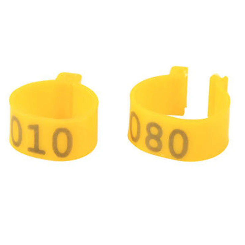 

TPXCKz 100 Pcs Poultry Leg Rings Chicken Bands Pigeon Geese Quail Bird Ring Carry Feeding Tools New Farm Animal Supplies